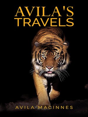cover image of Avila's Travels
